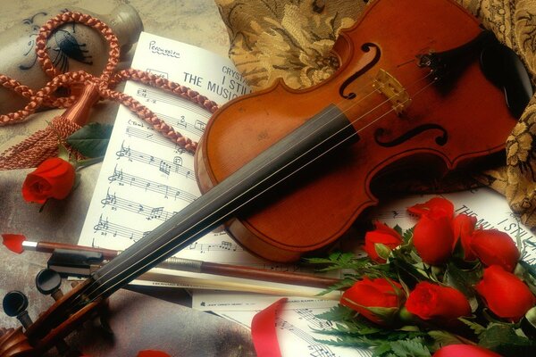 Hermoso violín rodeado de rosas