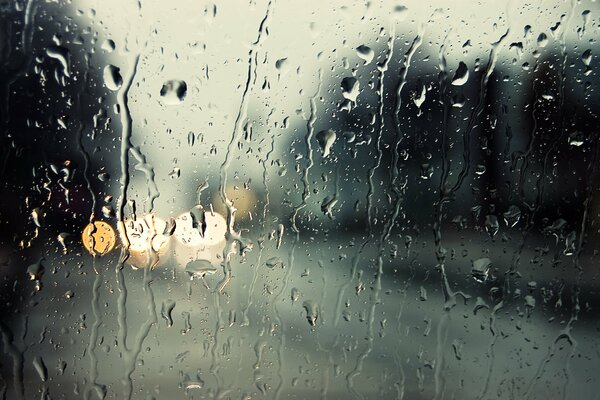 Autumn raindrops on the glass