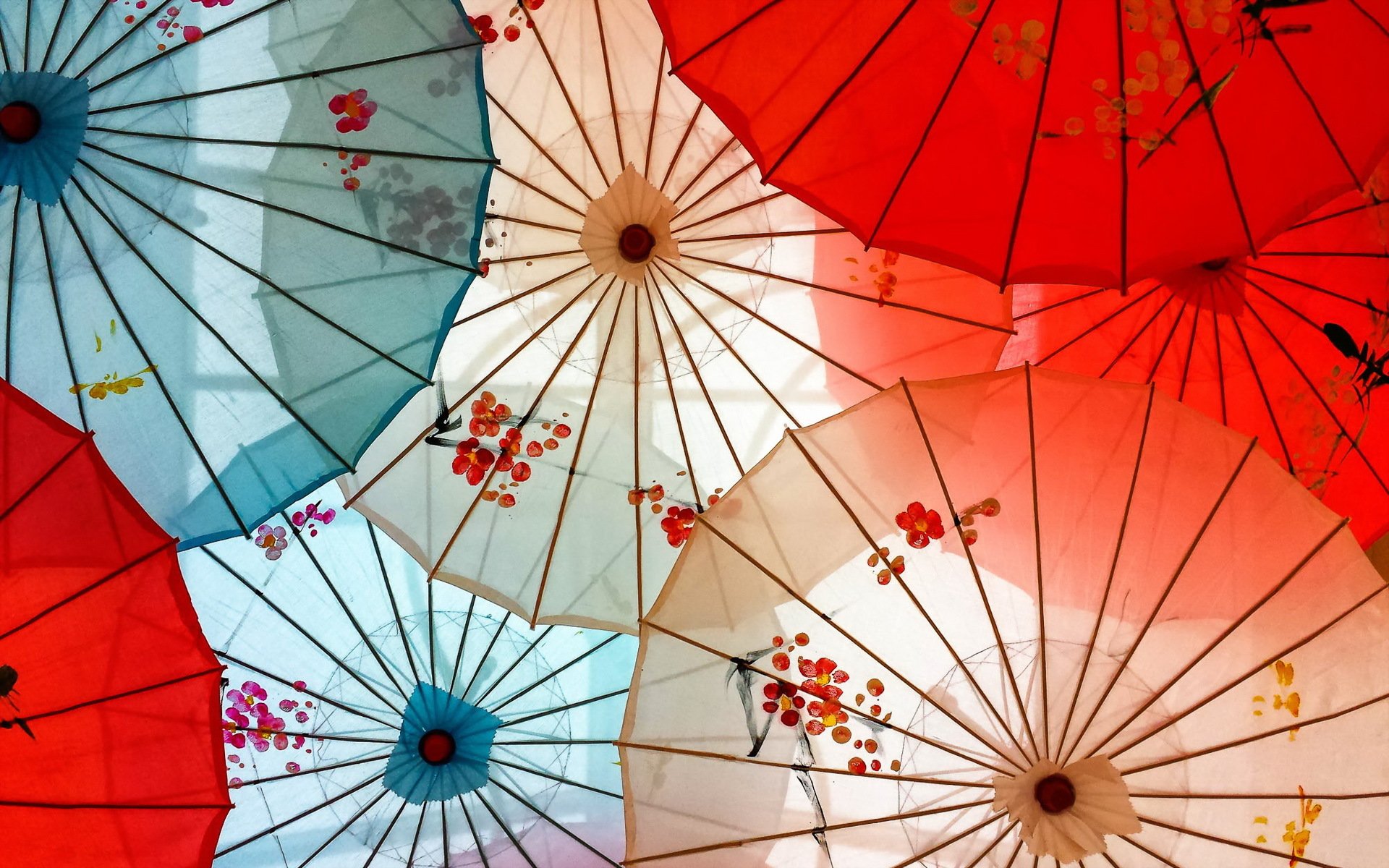 umbrellas flowers background