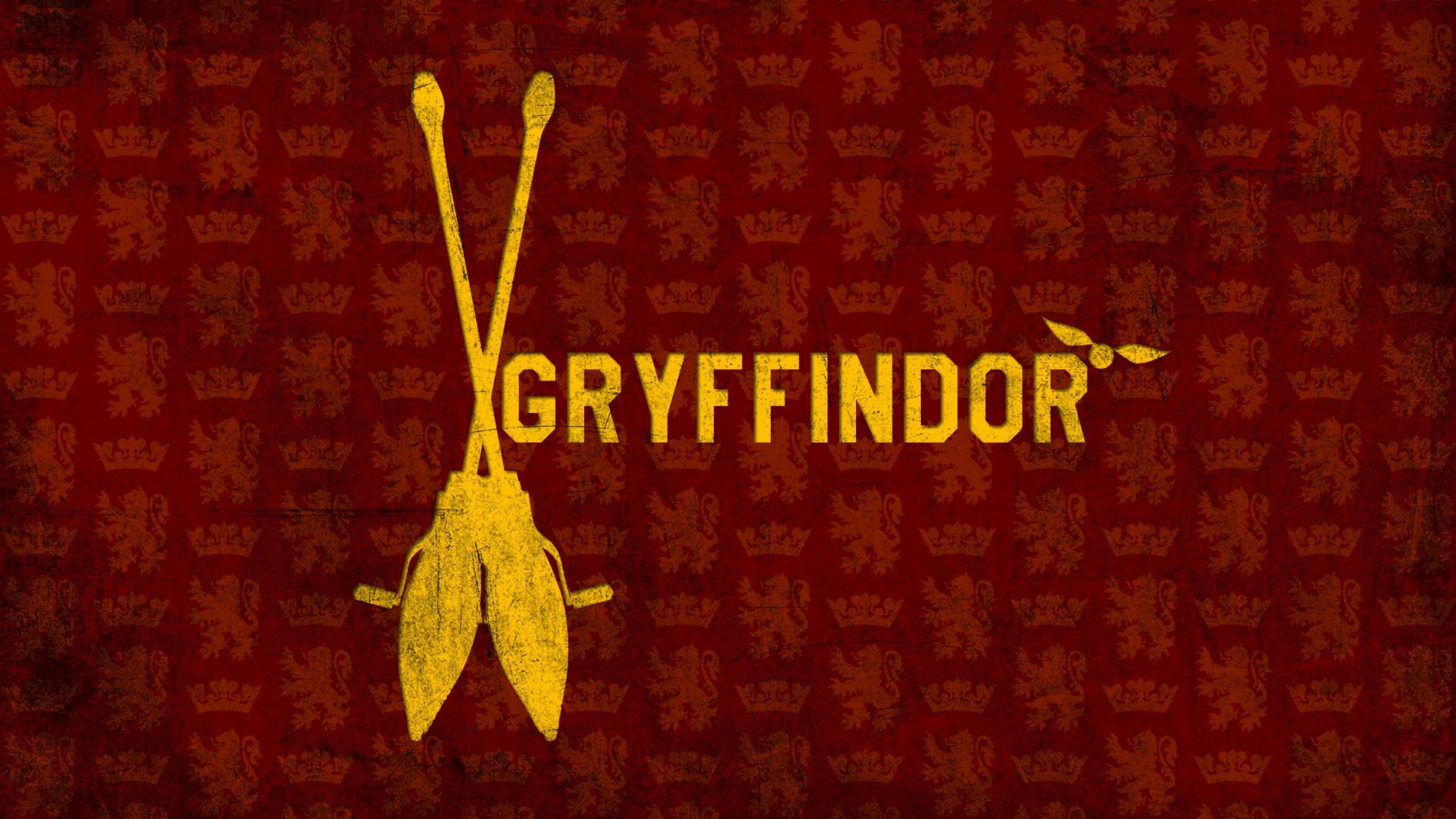 gryffondor harry potter vif balai