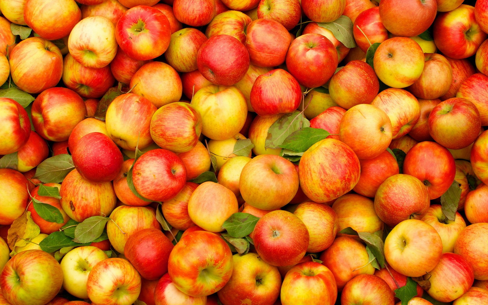 manzanas