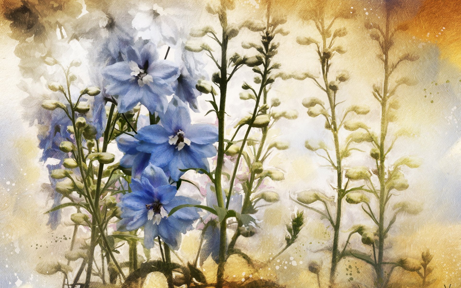 textur hintergrund blumen