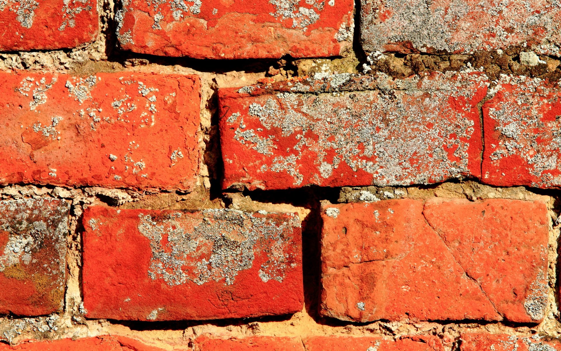 wall brick texture