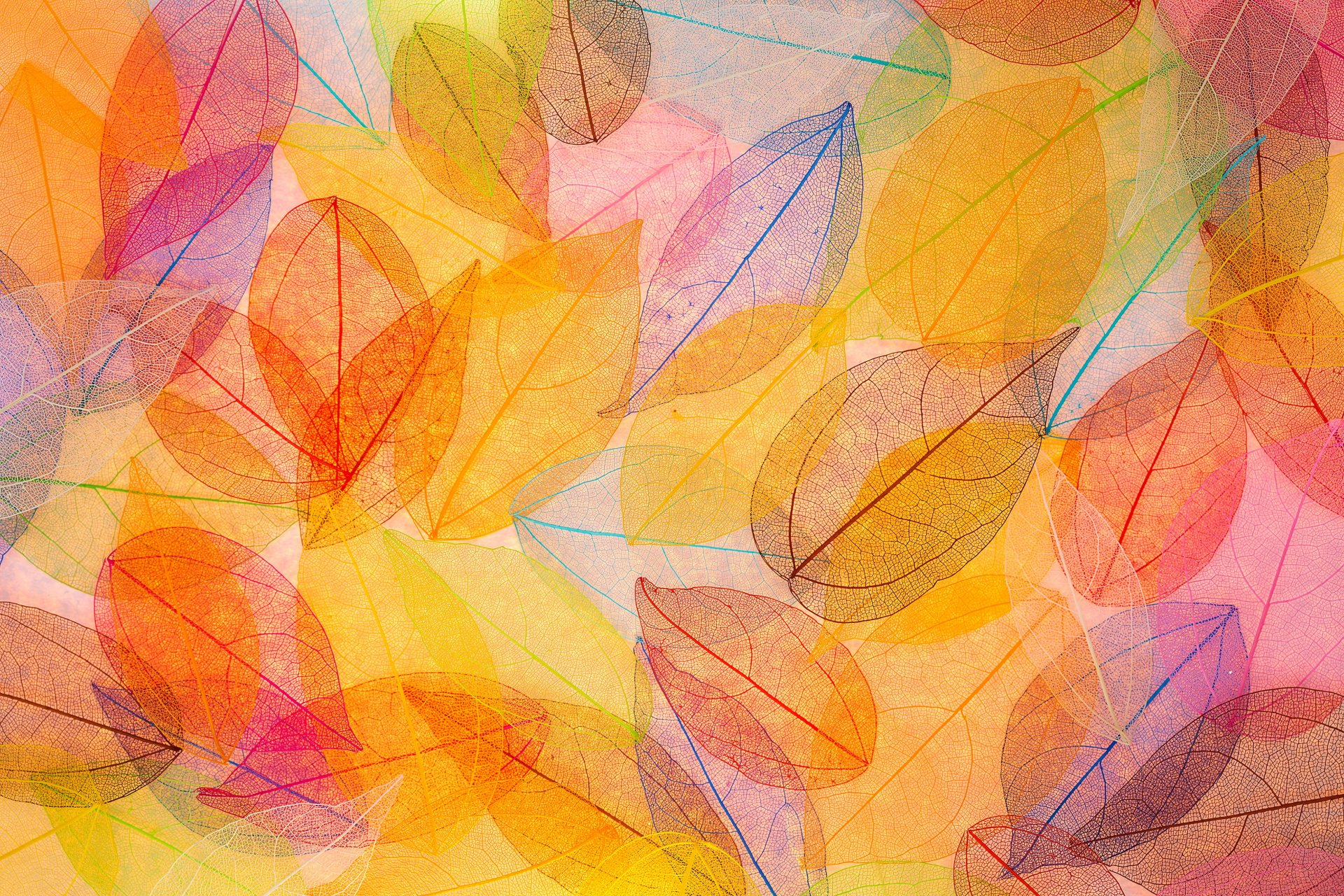 autunno foglie trasparente astratto colorato autunno sfondo