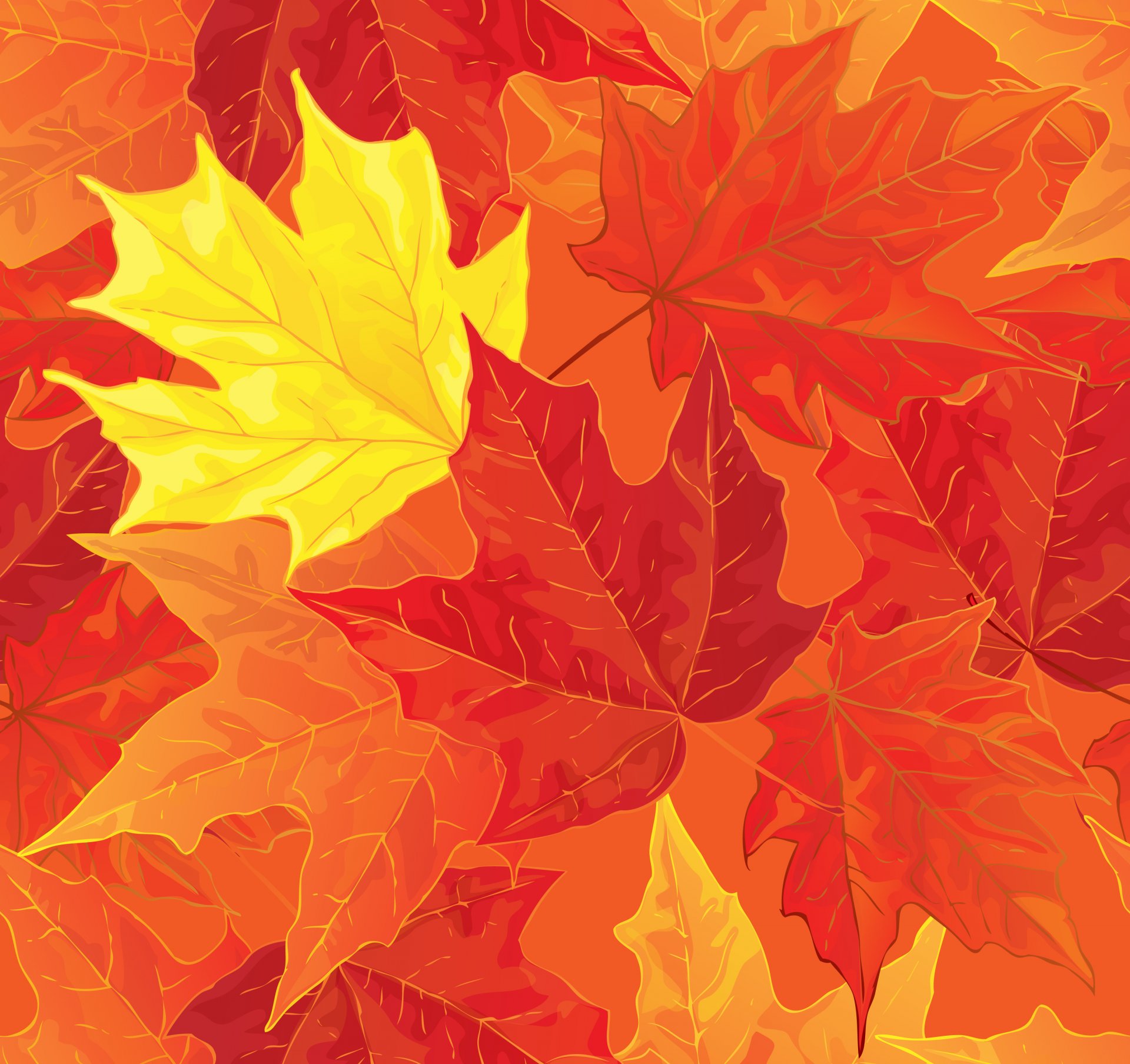 autumn leaves fall maple autumn background