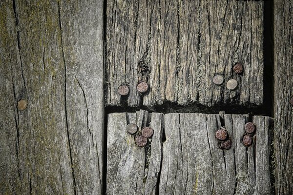 Wooden boards on which rusty nail heads are visible