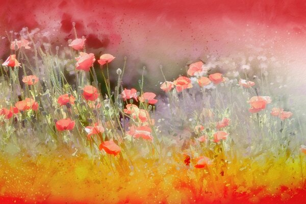 Gezeichnete rote Mohnblumen im Feld