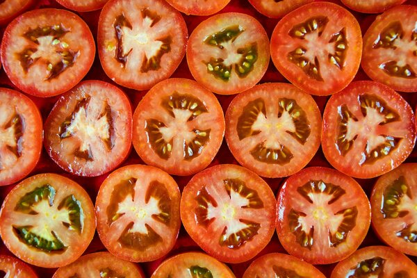 Tomatoes cut in half lie flat in rows