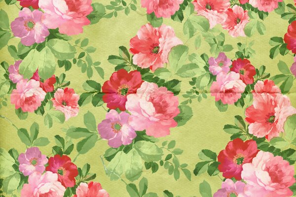 Adorno floral Vintage en papel tapiz