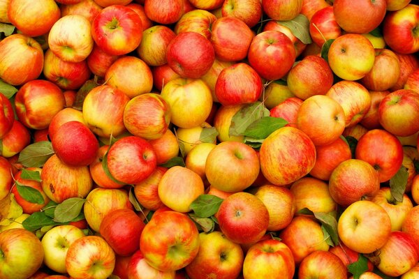 Manzanas deliciosas, Rosadas y jugosas