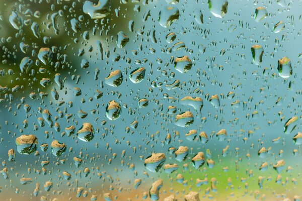 Foto del día, gotas en el vidrio