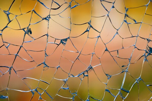 An unusual blue web of cracked glass