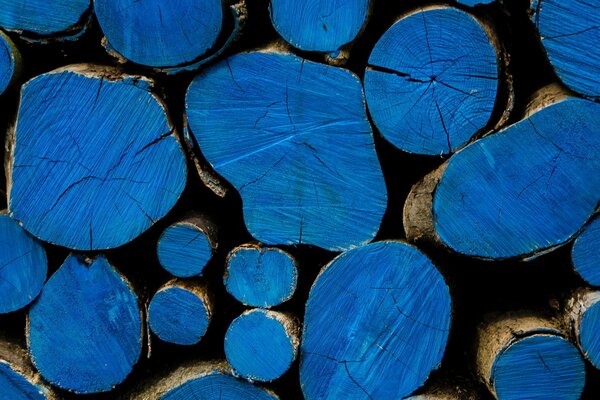 Stacked blue-painted firewood