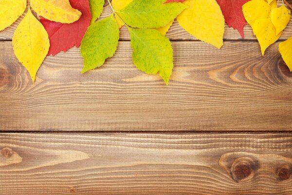 Feuilles jaunes et vertes sur une table en bois