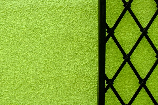 A green wall with a black gate