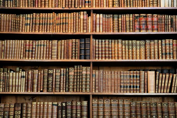 Shelves in the library with a collection of books