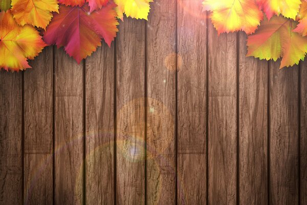 Fond d automne: feuilles sur texture en bois