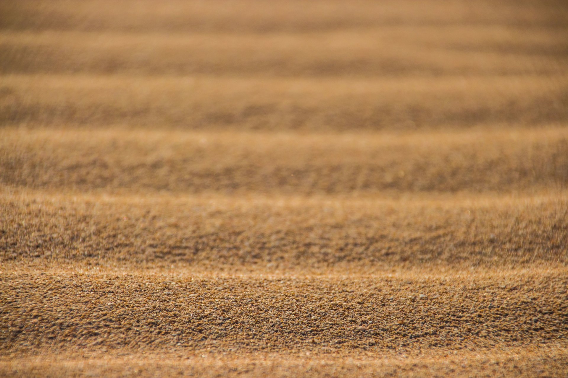 deserto sabbia trama