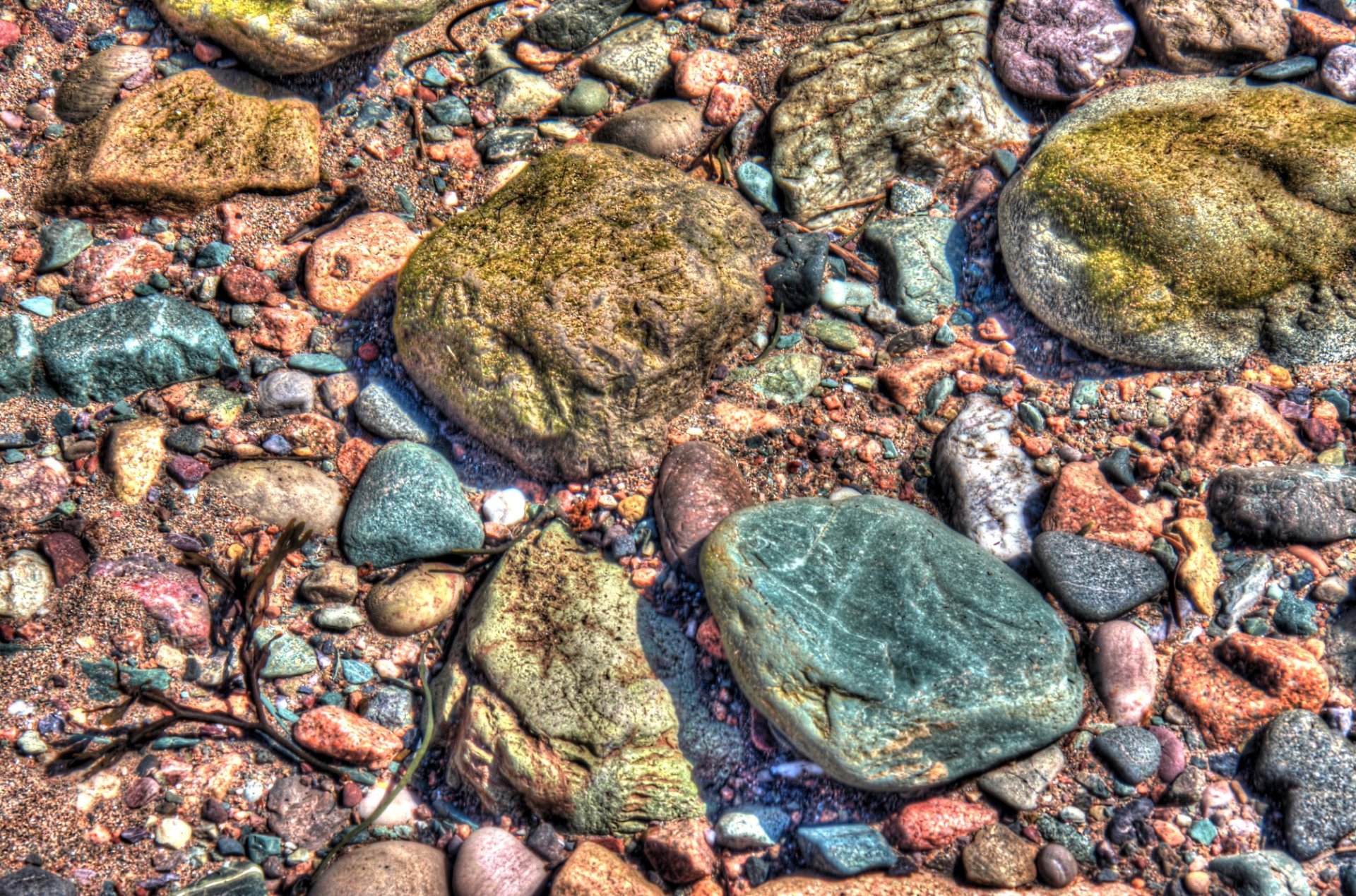 beach stones flowers hdr