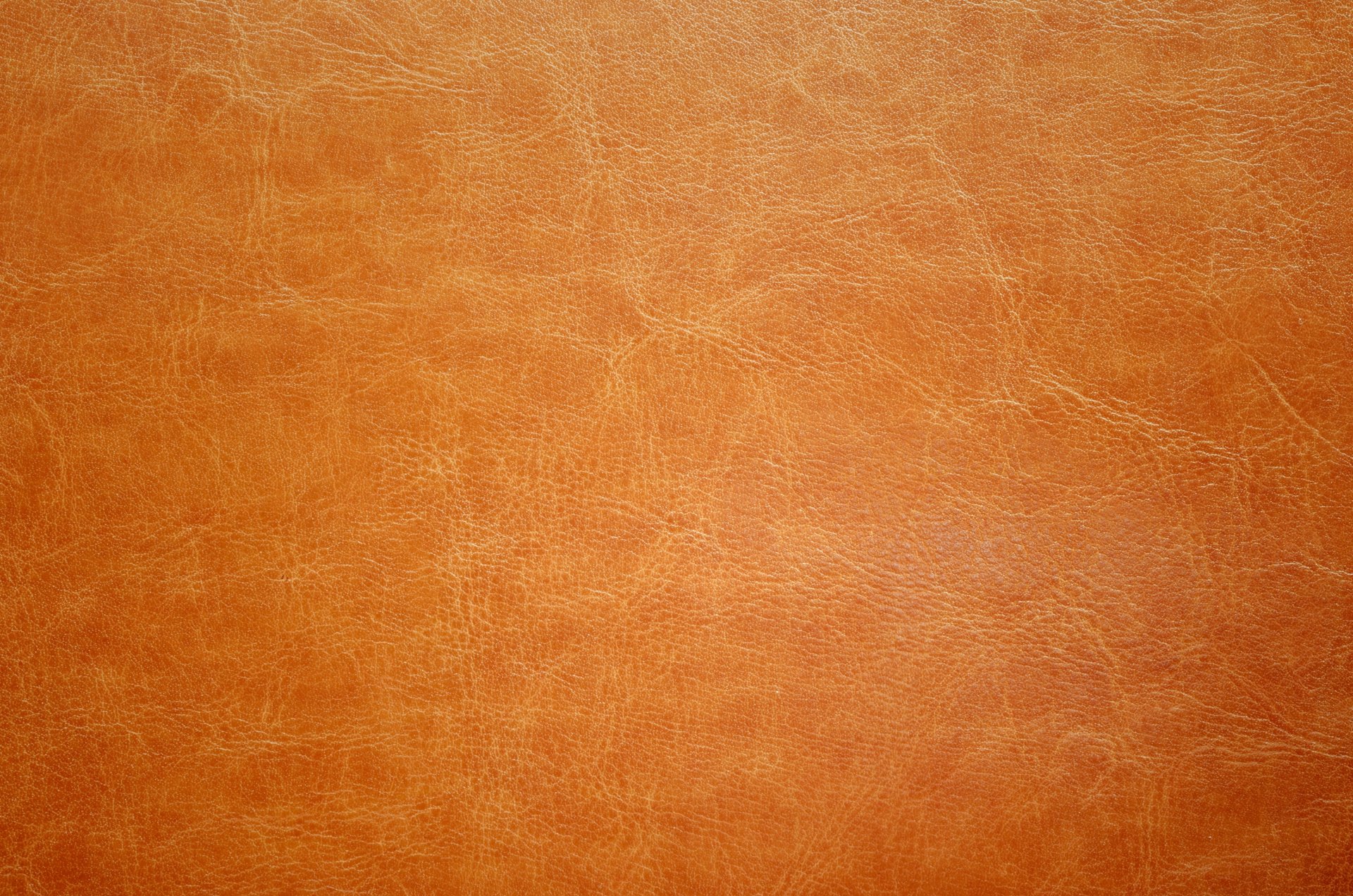 leather texture