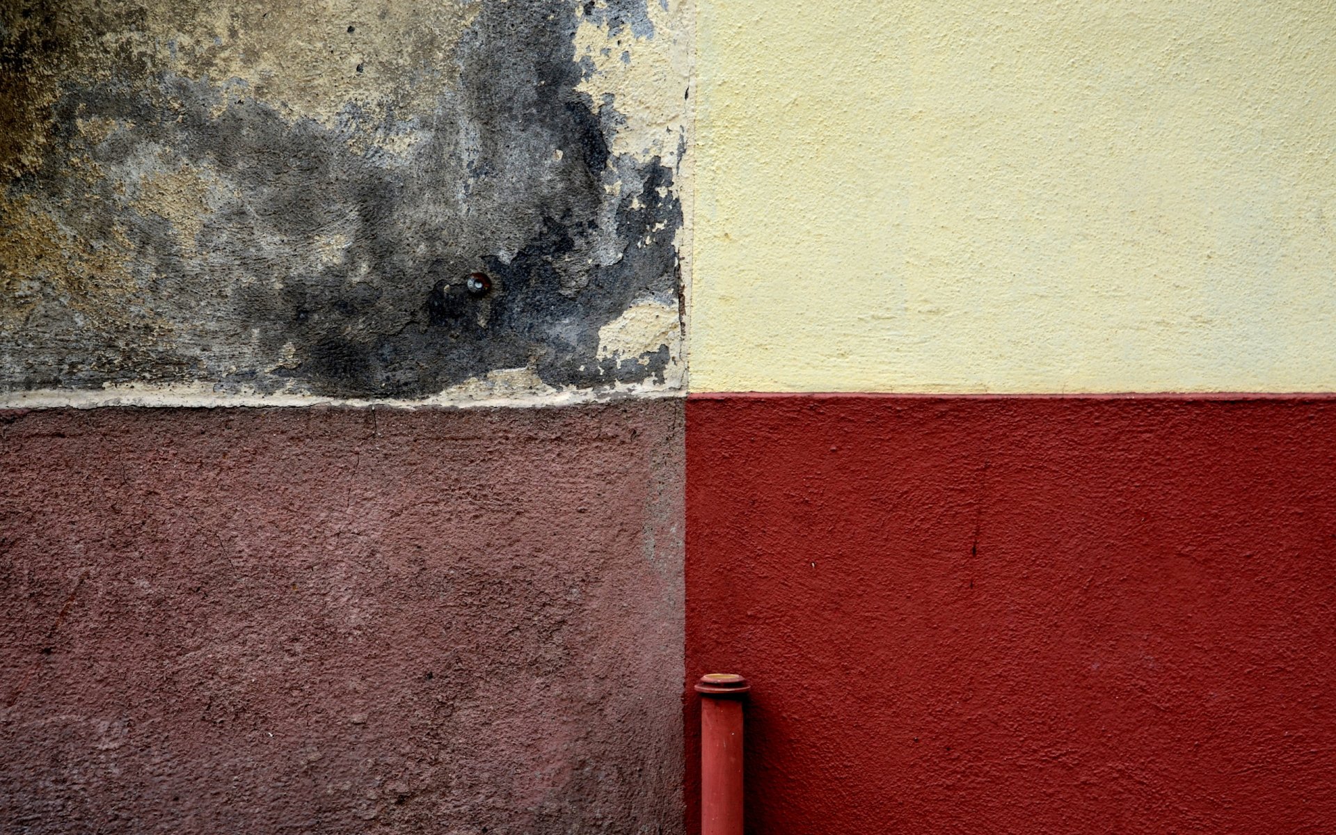 wall textures flower