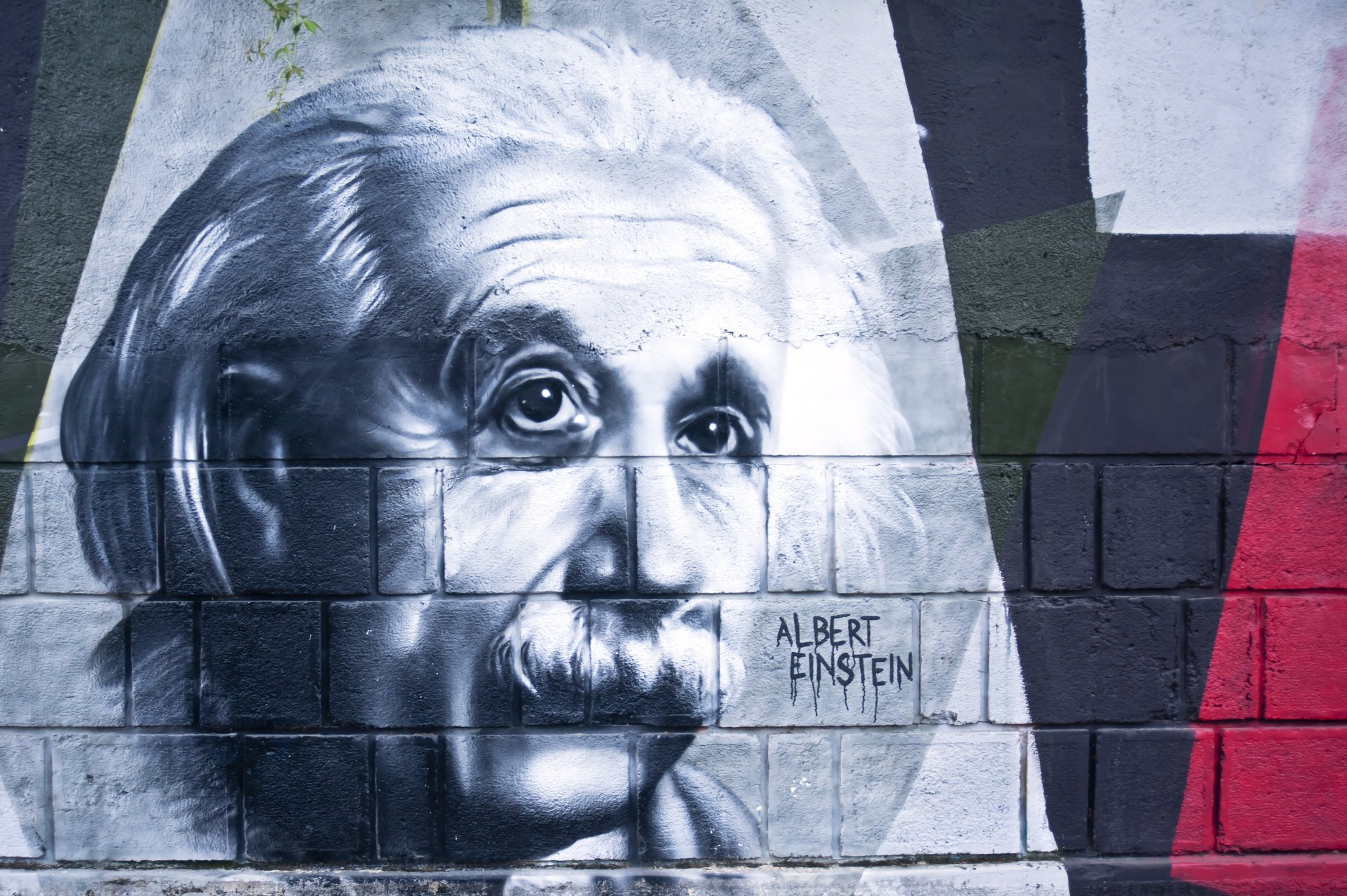 albert einstein mur modèle