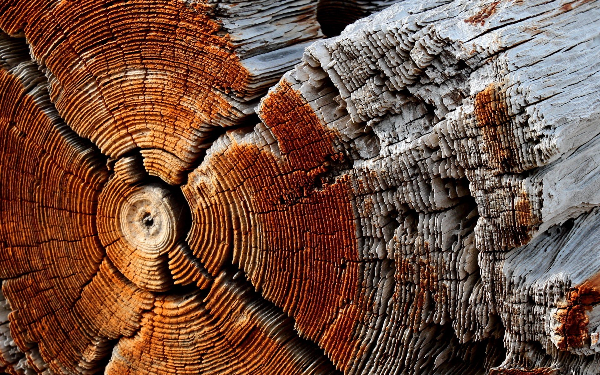 holz textur hintergrund