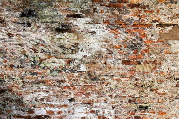 A wall of old crumbling bricks