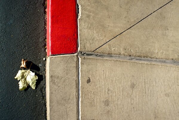 A lone leaf on the asphalt near the glove compartment