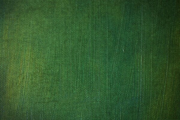 Green textile texture