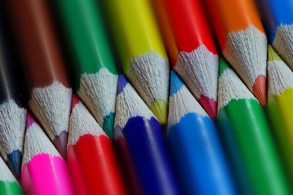 Gros plan de crayons multicolores