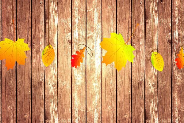 Maple and oak leaves in the yellow-orange colors of autumn lying on the boards