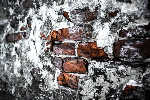 Hermosa textura de pared de ladrillo