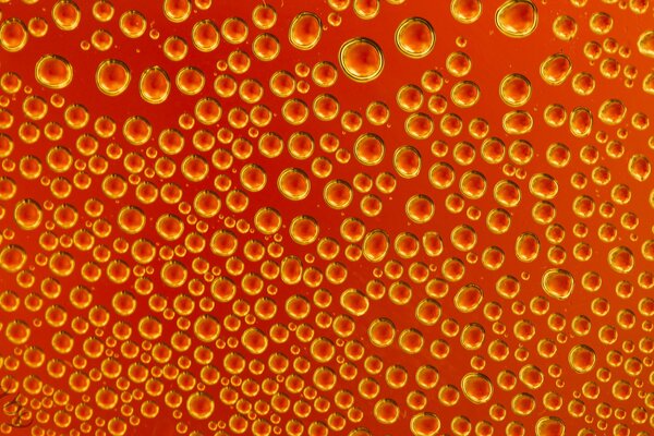 Bubbles on an orange background