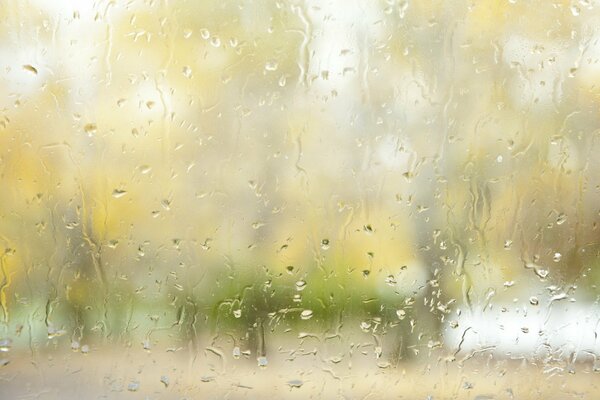 Raindrops on the autumn window