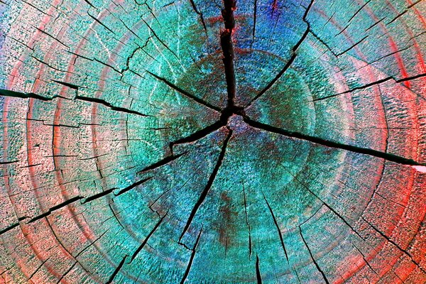 Cracks on the colored stump