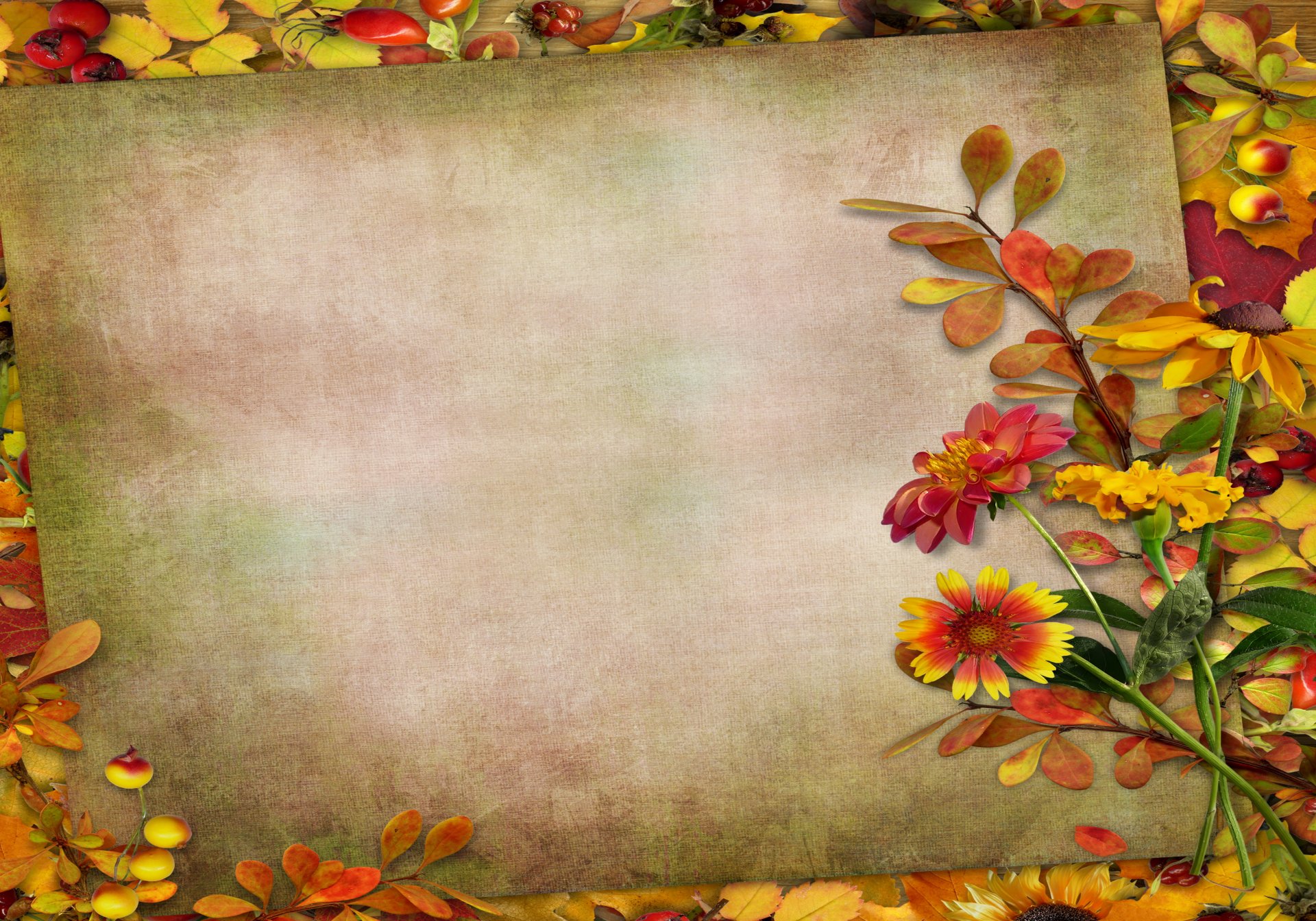 autumn vintage background leaves berries flower