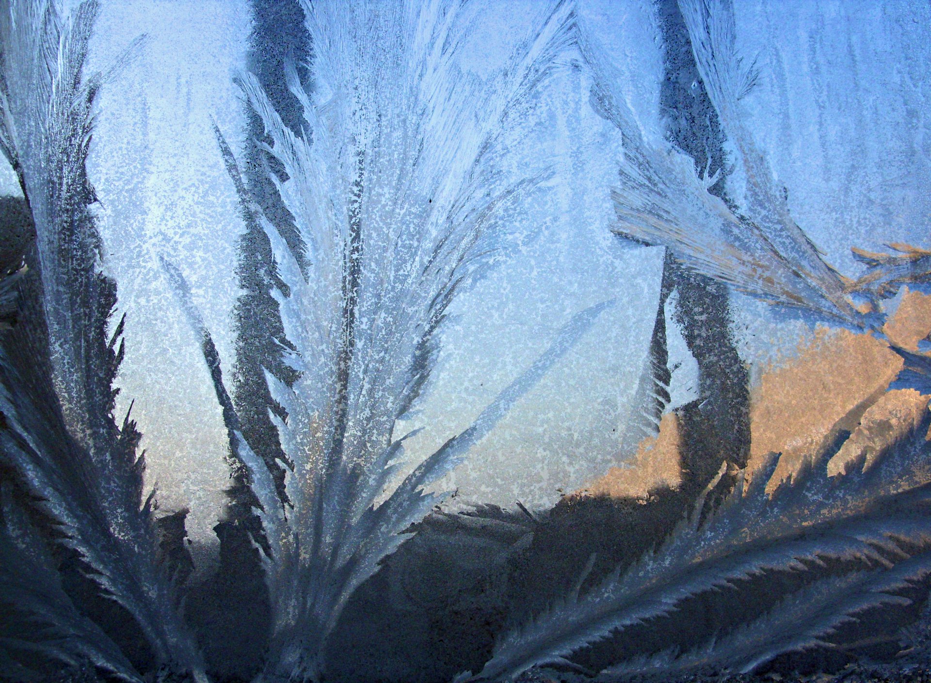 frost glass winter