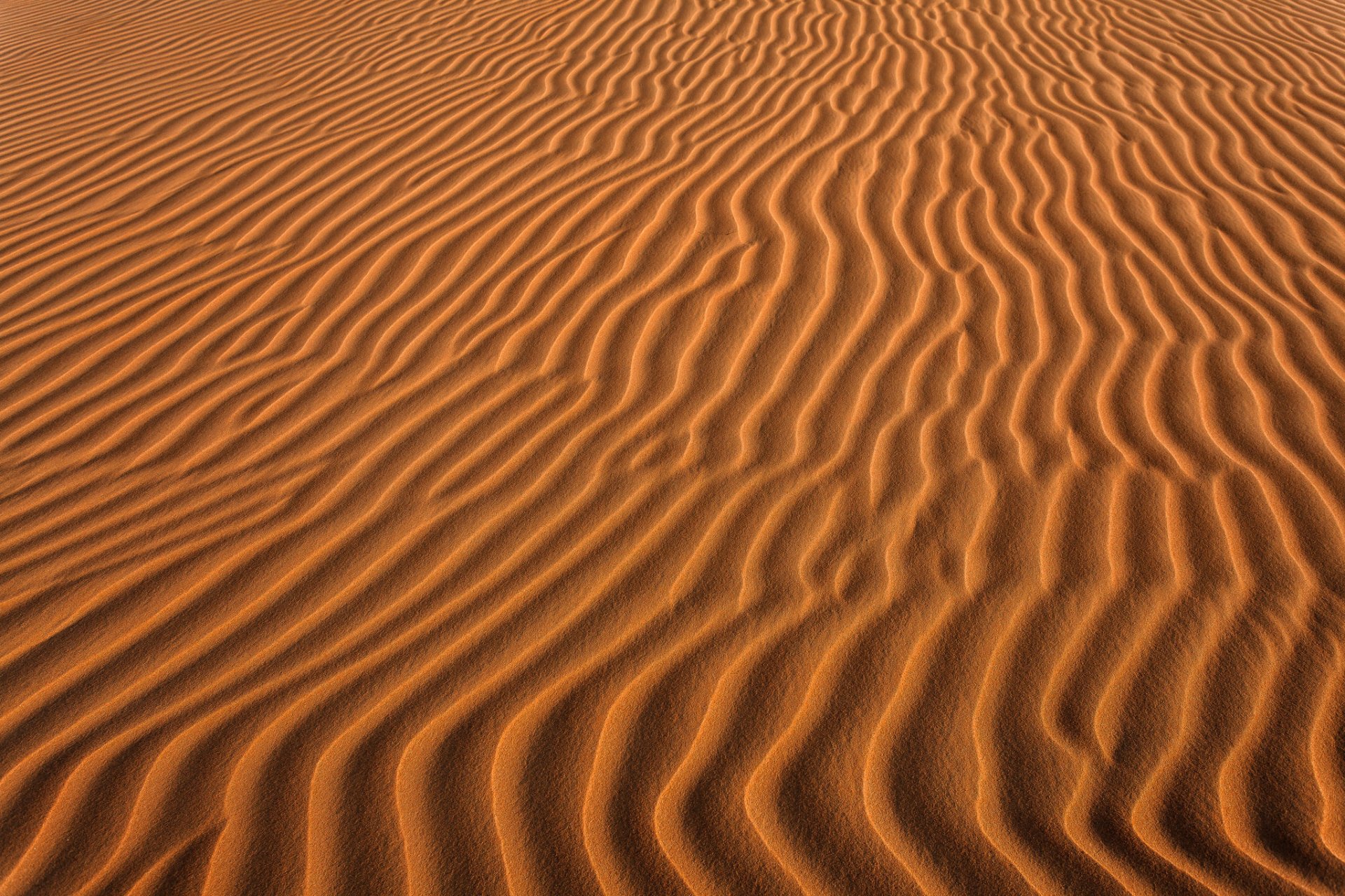 desert sand waves nature