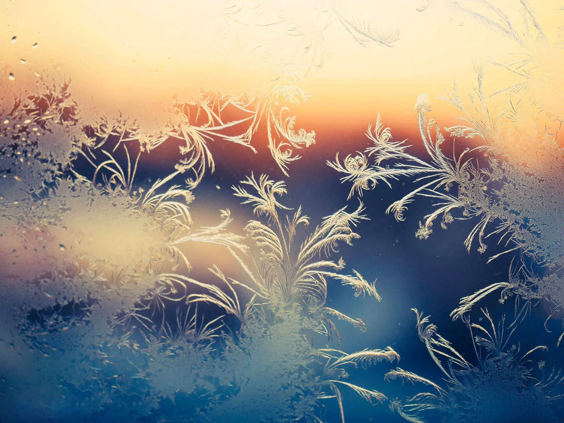 glass patterns frost winter