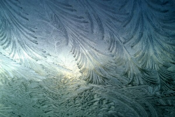 Patrones de invierno en vidrio en el frío