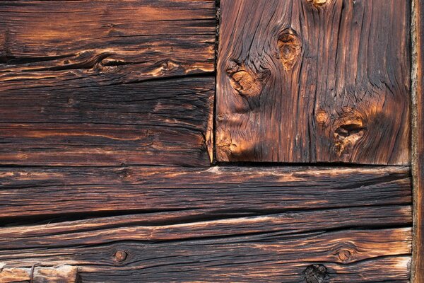 Wood texture of burnt boards