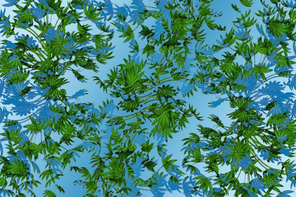 Green leaves in blue water