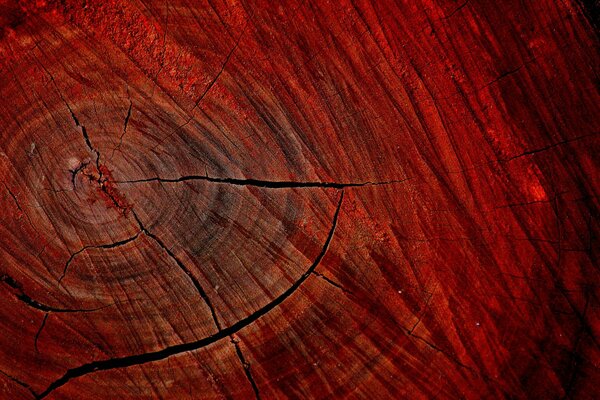 Texture de bois avec des fissures de couleur rouge