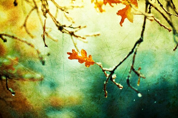 Yellow leaf on a branch on a blue background