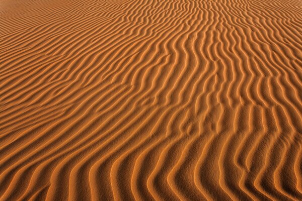 Endless dunes, wind, sand