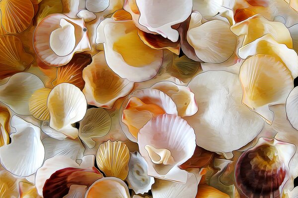 Drawing of seashells on the shore