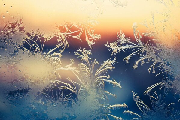 Winter white patterns on glass