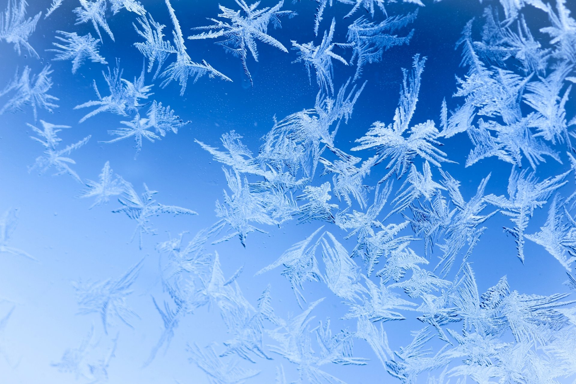 winter glass frost pattern