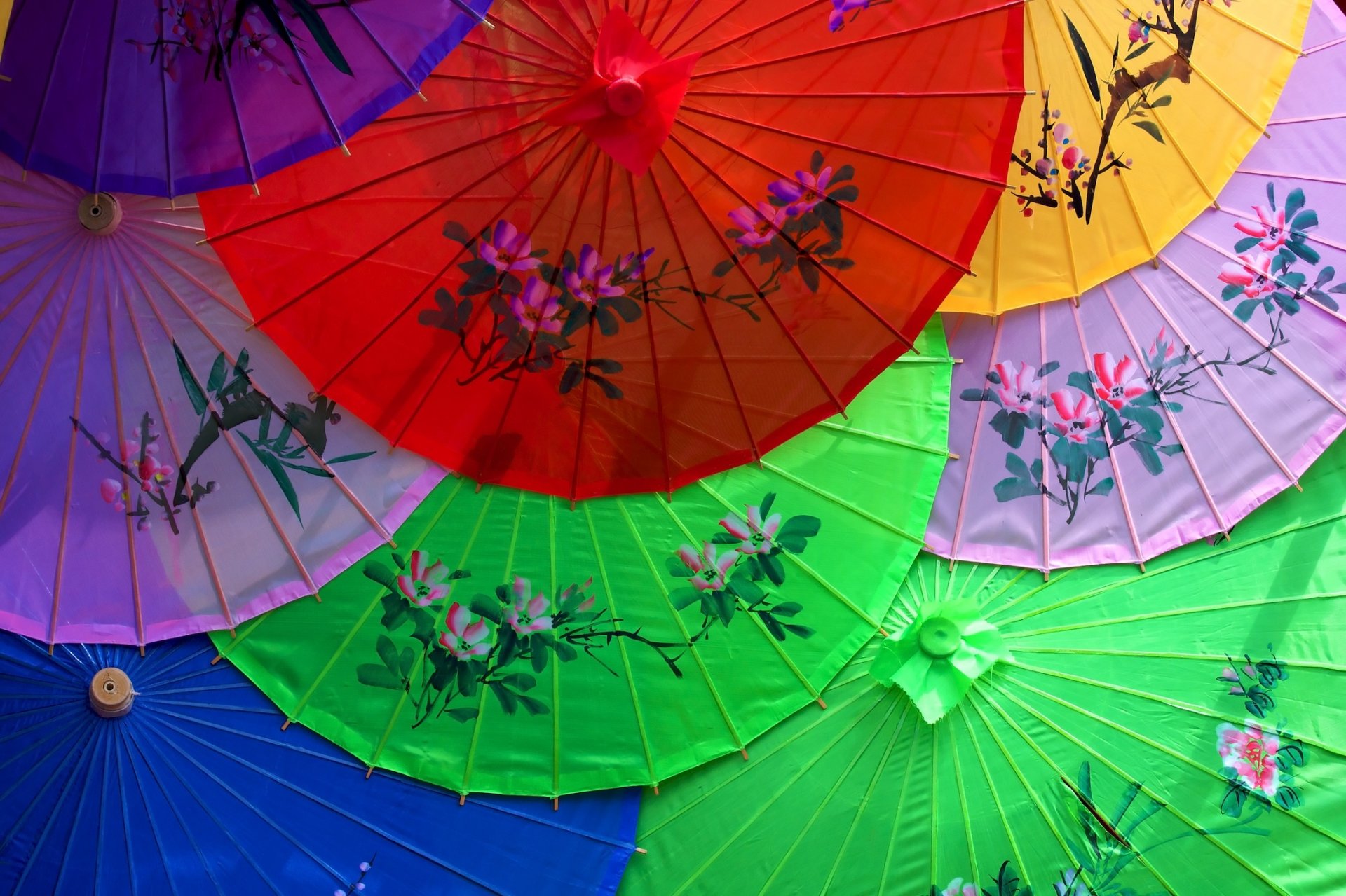 umbrella asia china japan umbrella flowers pattern